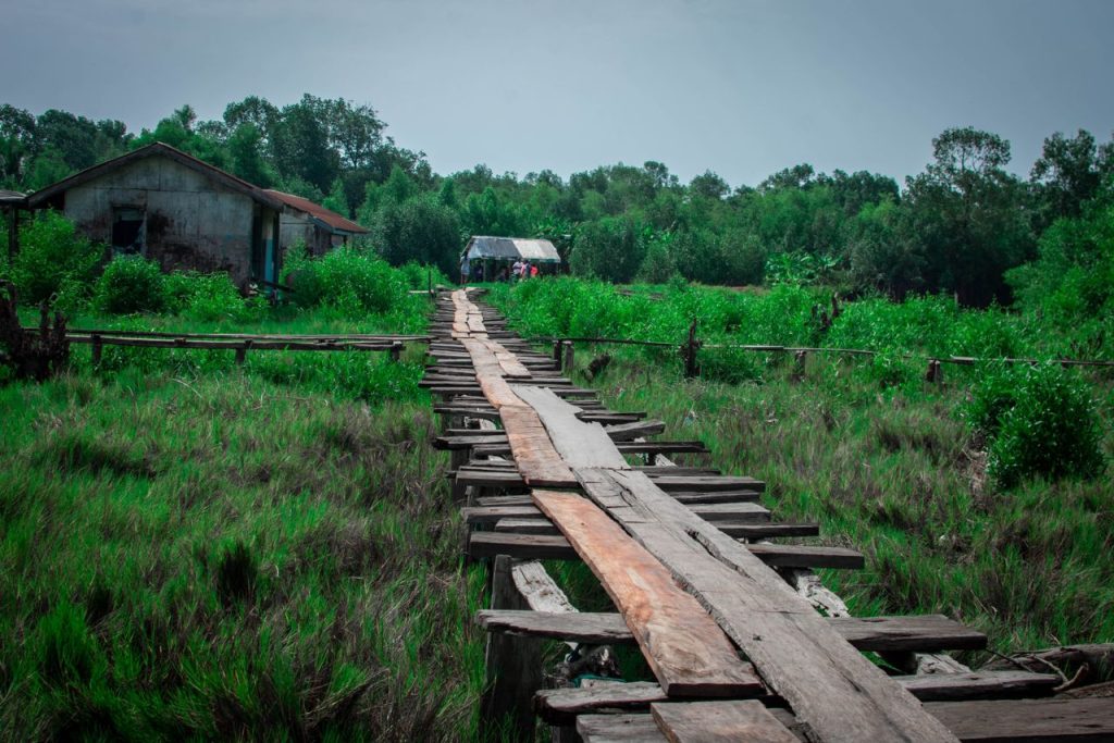 Boardwalk construction outreach programs in Niger Delta creeks