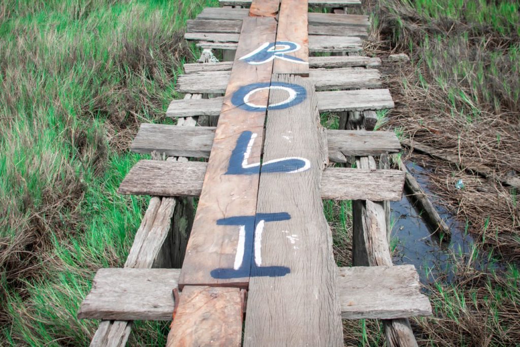 Boardwalk construction outreach programs in Niger Delta creeks